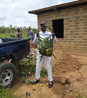 Kimvuka Mvuala Tatu - KMT | socialimpact