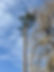 IMG_9199.jpeg