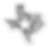 texas outline_edited_edited_edited.png