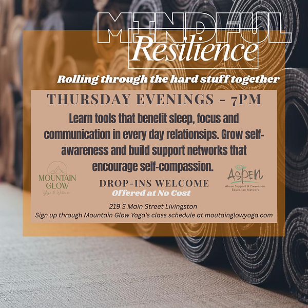 Mindful Resilience Graphic.png