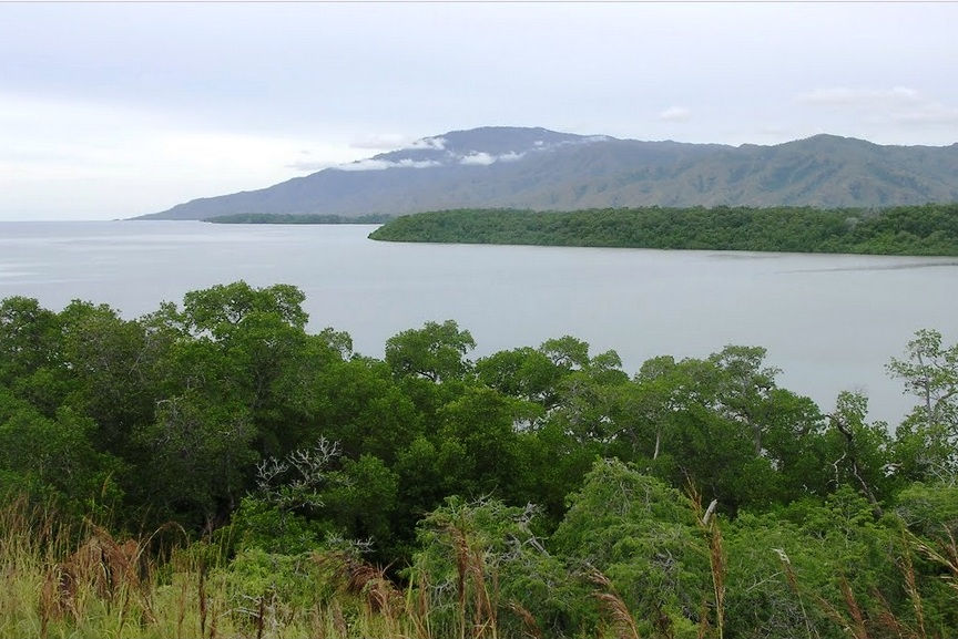 Extensive mangrove forest past Hera, with Mt Curi (c. 1,000m) in background