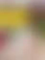 Drei Personen laufen unter einem gelben "START"-Banner bei sonnigem Wetter. Hintergrund: grüne Landschaft, Ziegelpflasterung.