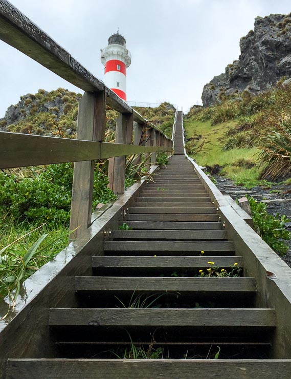 neuseeland treppen cape palliser leuchtturm