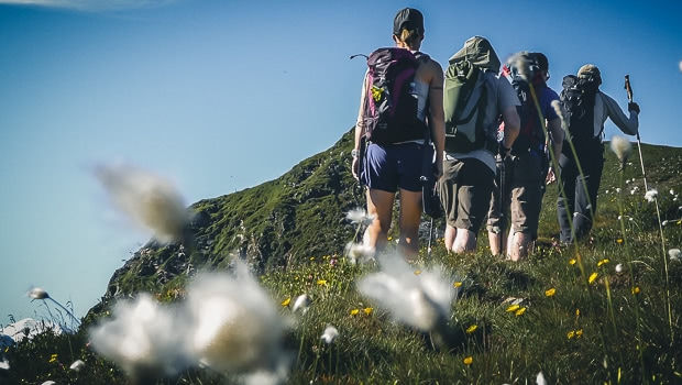6 Tipps für deinen Sommerurlaub in Saalbach Hinterglemm
