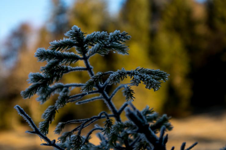 hirschhoerndlkopf winterliche eindruecke november