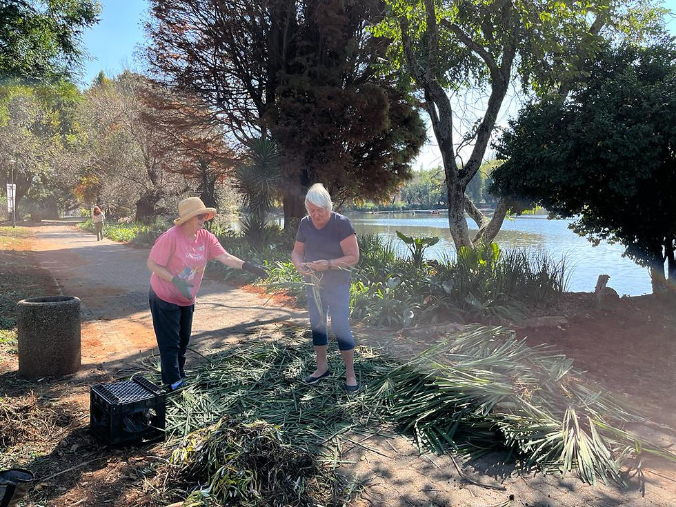Two volunteers cleaning Zoo Lake