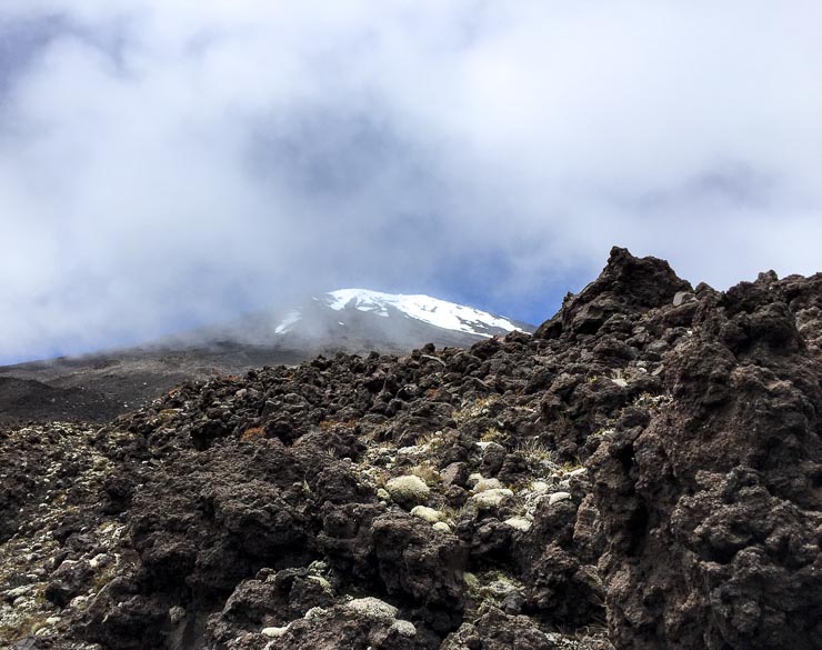 neuseeland tongariro nationalpark blick gipfel
