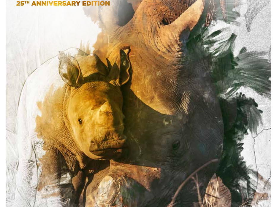 Screenshot of a publication with photos of rhinos on it.