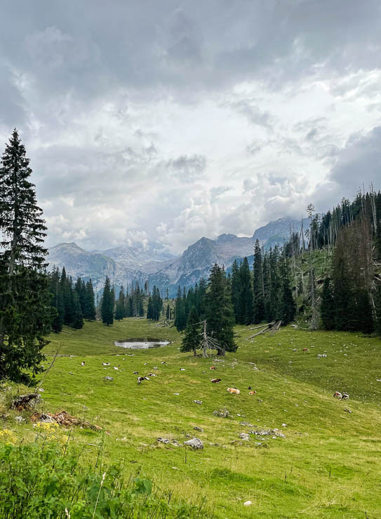 Umrundung königssee mit blick auf das steinerne Meer