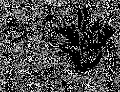 03.png