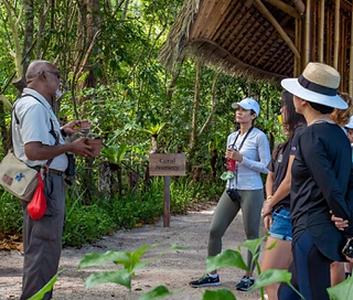 Guide shows plants to tourists at a tropical garden