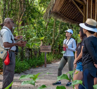 Guide shows plants to tourists at a tropical garden