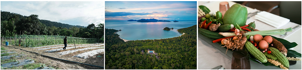 On the left, a person works in a lush vegetable garden. The centre shows a serene seascape at sunset. The right displays a table with assorted fresh produce.