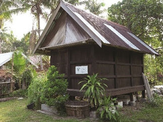 Rustic wooden hut with plants
