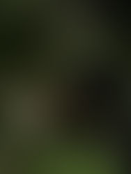 Woman descending lush tropical staircase