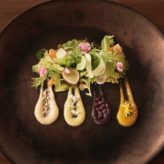 Gourmet salad with four dressings