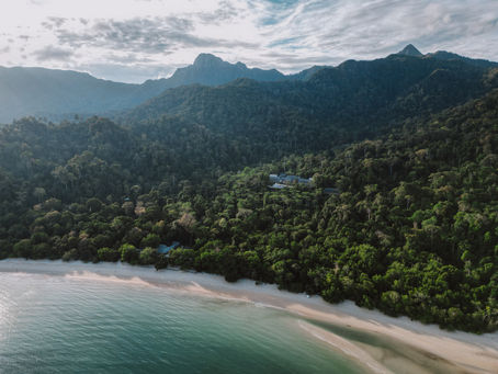Aerial view of a quiet tropical beach, dense green rainforest, and misty mountains under a cloudy sky, serene and remote