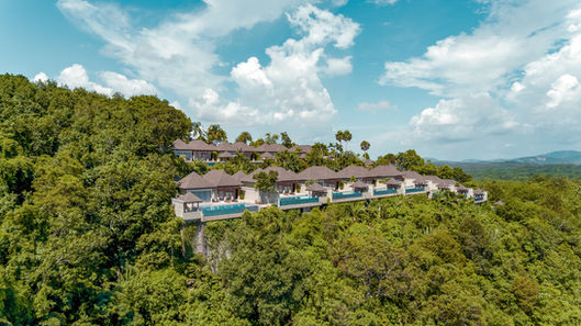 Luxury villas nestled in lush greenery