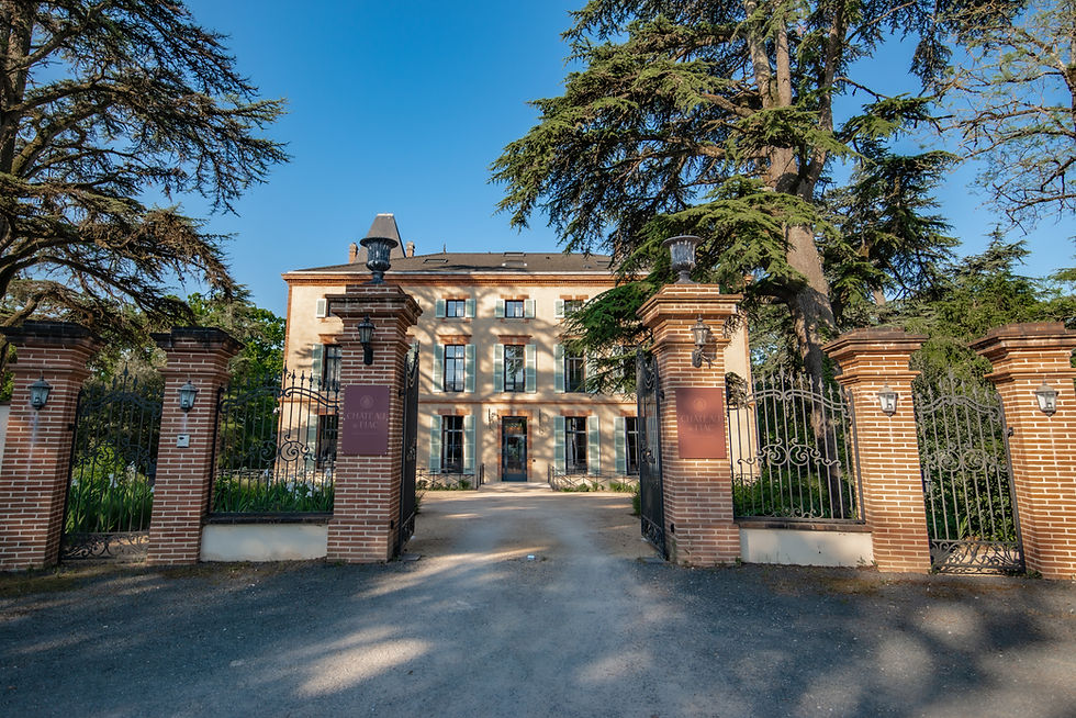 Historic chateau with brick pillars and wrought iron gates. Tall trees frame the scene with "CHATEAU DE FIAC" text on signs, under blue sky.