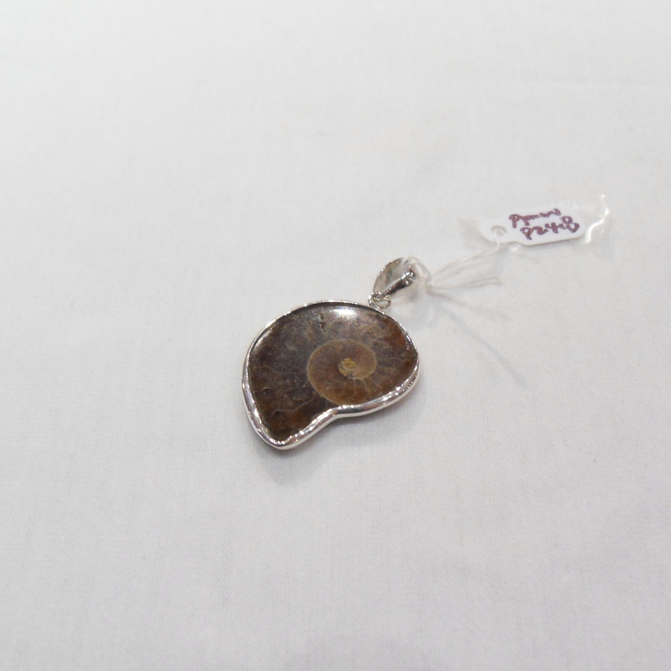ammolite Golden tiger eye Pendant with silver frame