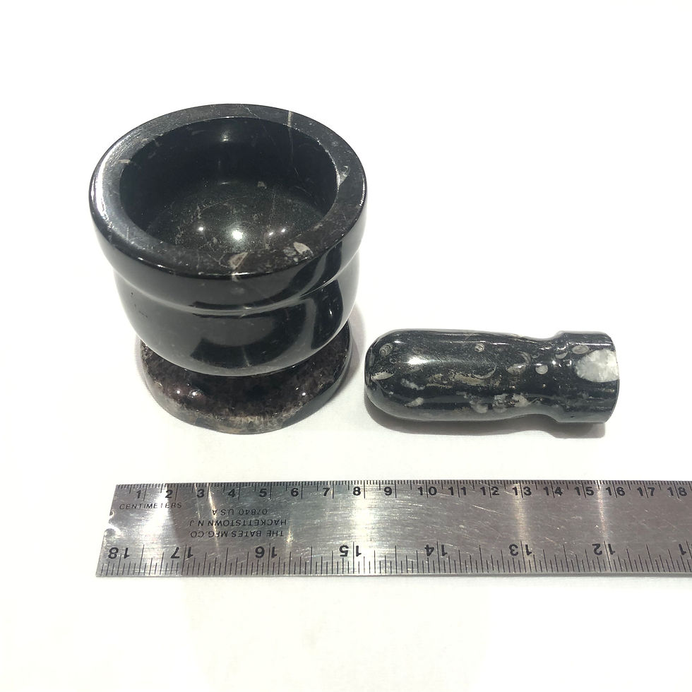 Thumbnail: Orthoceras Fossil Mortar