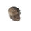 Thumbnail: Smoky Quartz skull