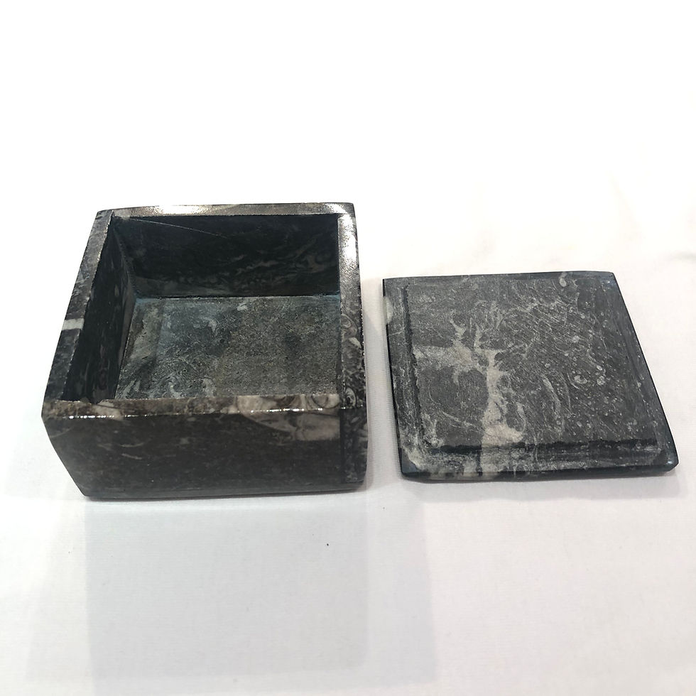 Thumbnail: Orthoceras Fossil Square Box