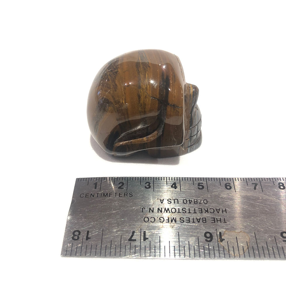 Thumbnail: Golden Tiger Eye skull