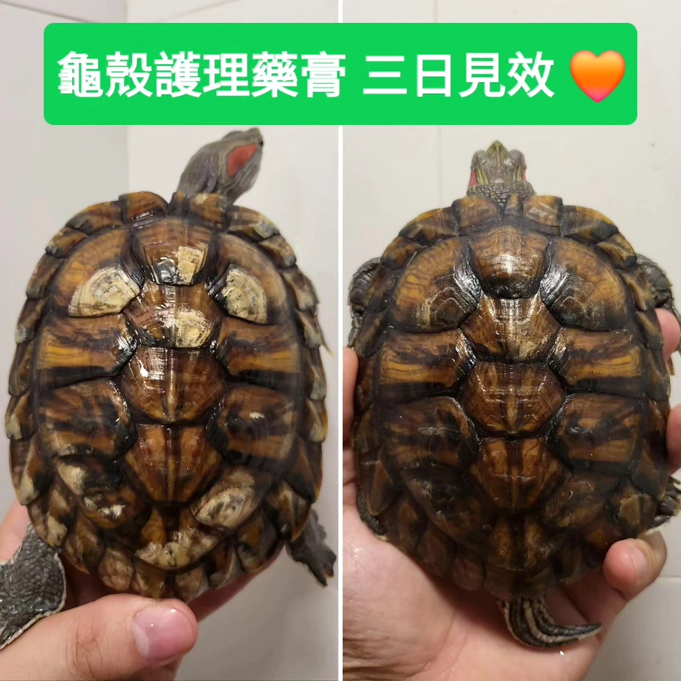 縮圖：myHABITURE 龜殼護理藥膏