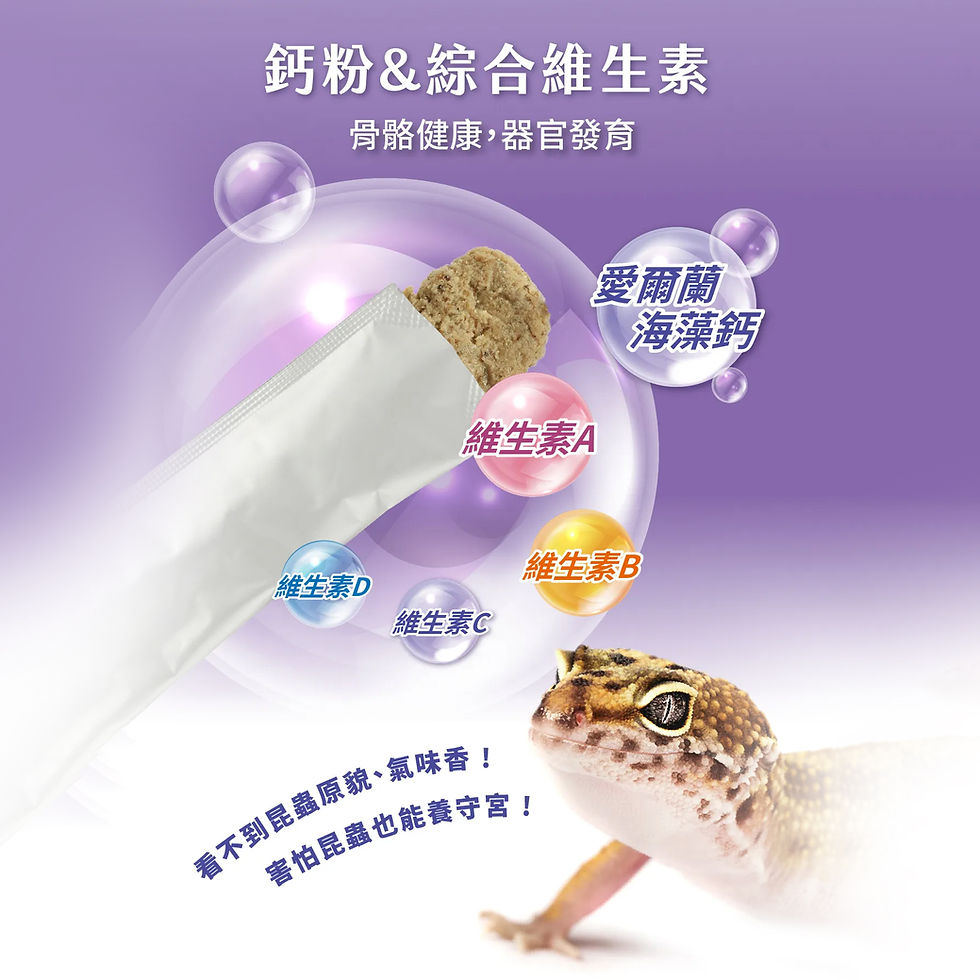 縮圖：守宮蟲泥 大包裝6gx18條裝