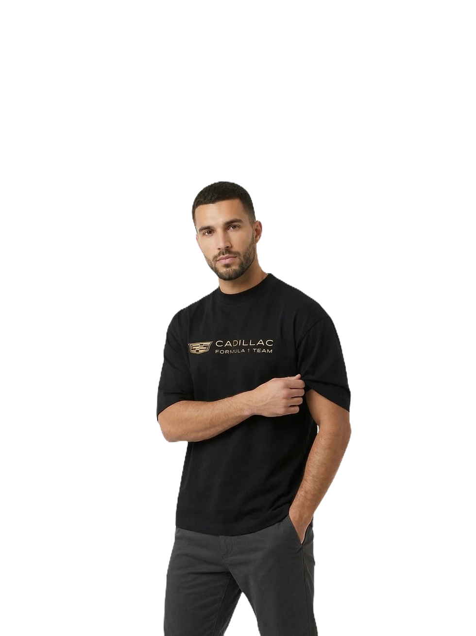 camiseta f1 delantera