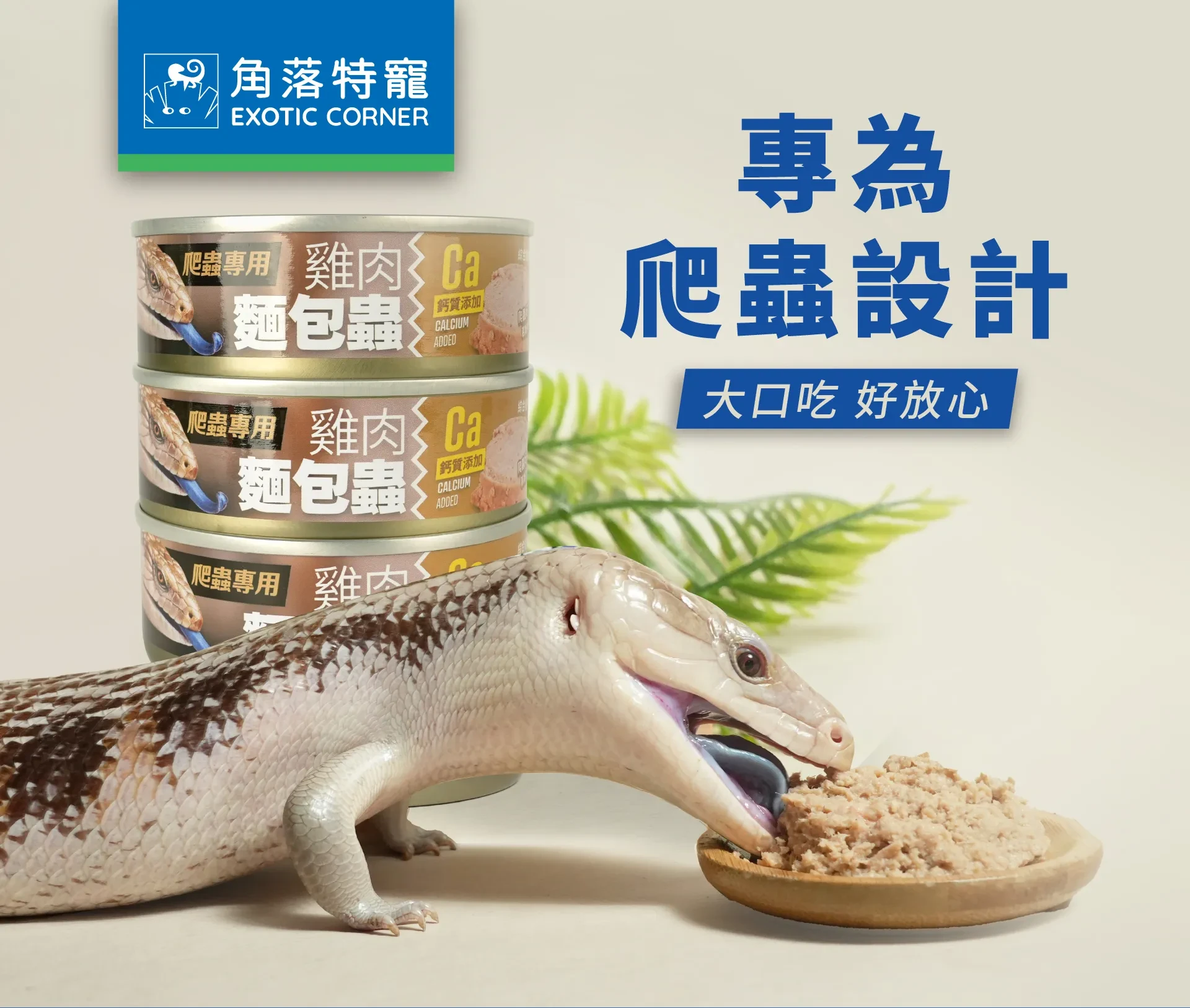 肉食爬蟲罐頭 80g