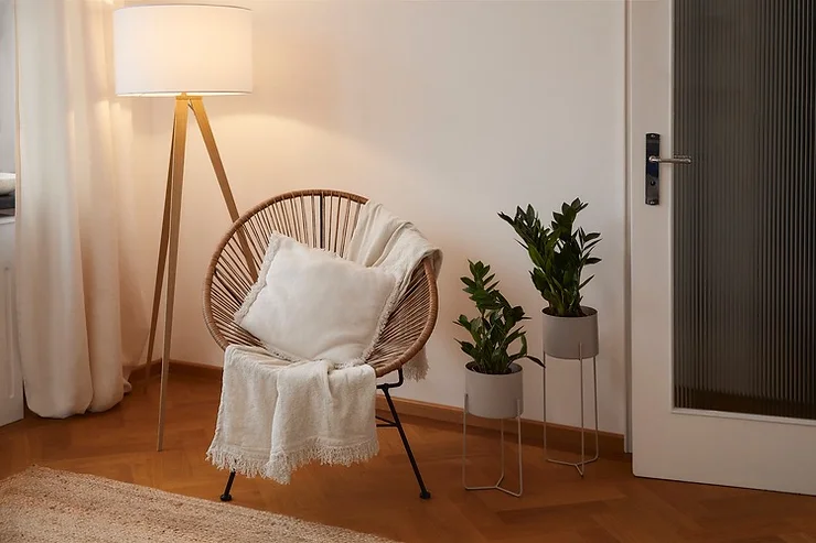 Feng shui dizajn interijera