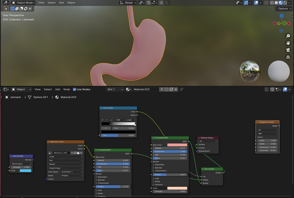 stomachshader1