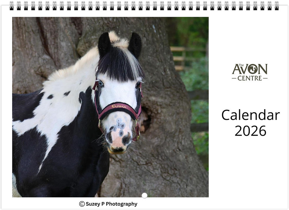 The Avon Centre Calendar 2026