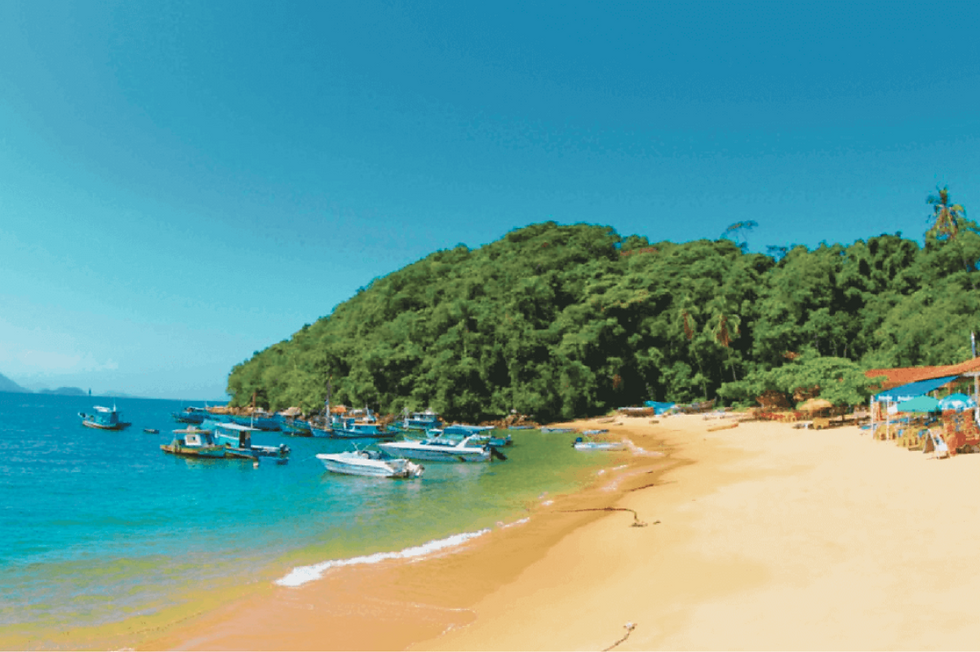 Cópia de Cópia de Cópia de Foto da pagina (5).png