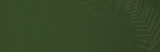 Design sem nome.png