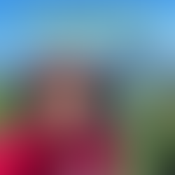 Parque Nacional da Tijuca