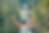 Cópia de Cópia de Cópia de Foto da pagina (15).png