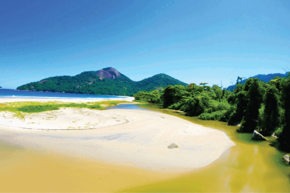 Cópia de Cópia de Cópia de Foto da pagina (1).png