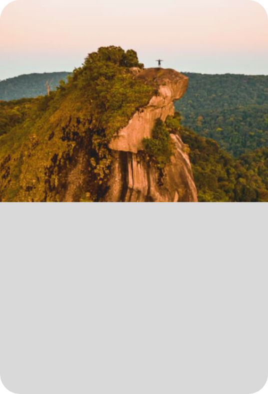 Capa Site (9).png