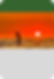 Capa Site (13).png