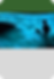 Capa Site (46).png