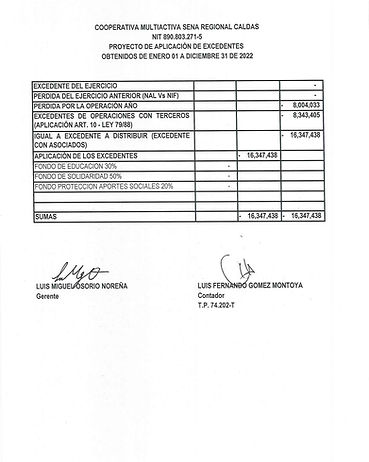 PROYECTO DE EXCEDENTES 2022_rte 2022.jpg