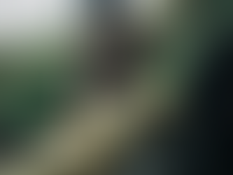 February 2021 Ministry Update Letter