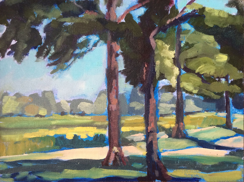 Stately Trees (9 X 12)