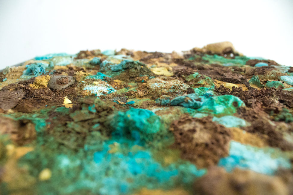 IMG_9595