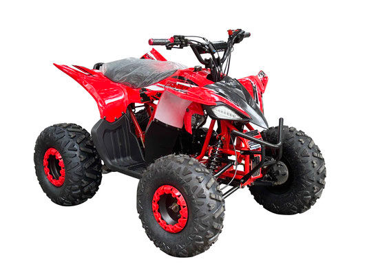 Thumbnail: ATV PIONEER 125cc