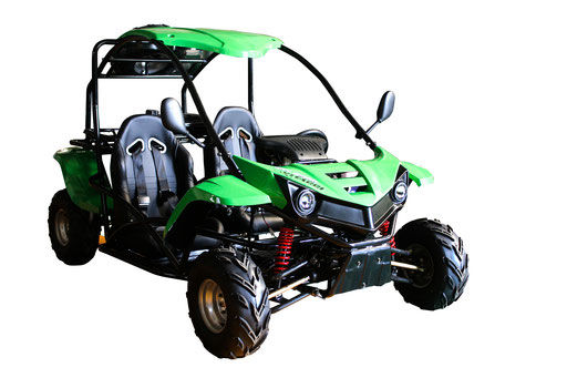 VITACCI GOKART T-REX 125CC