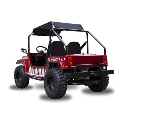 Thumbnail: VITACCI GOKART JEEP  GR9 200cc